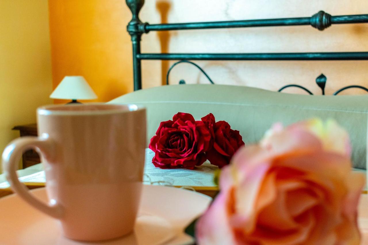Bed and Breakfast La Casa Del Nonno Spoltore Екстер'єр фото