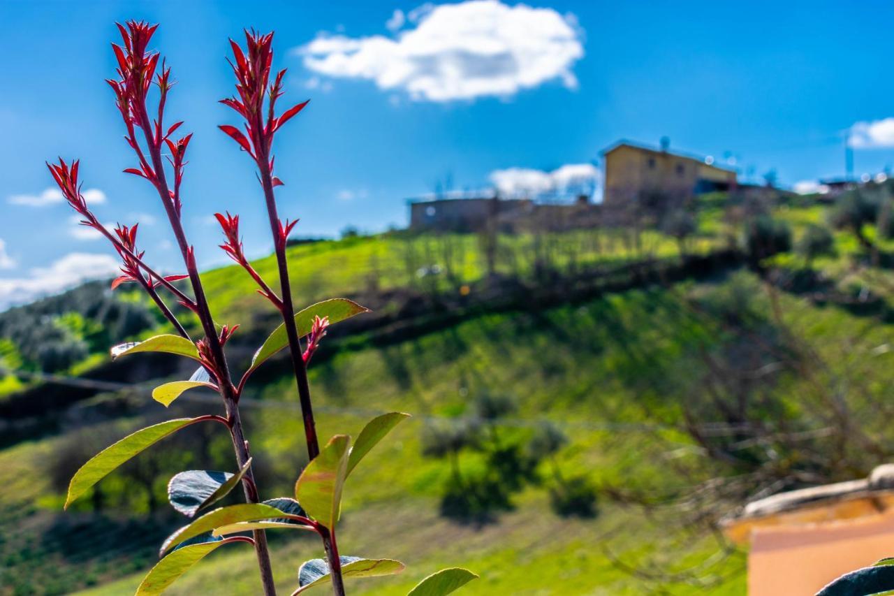 Bed and Breakfast La Casa Del Nonno Spoltore Екстер'єр фото